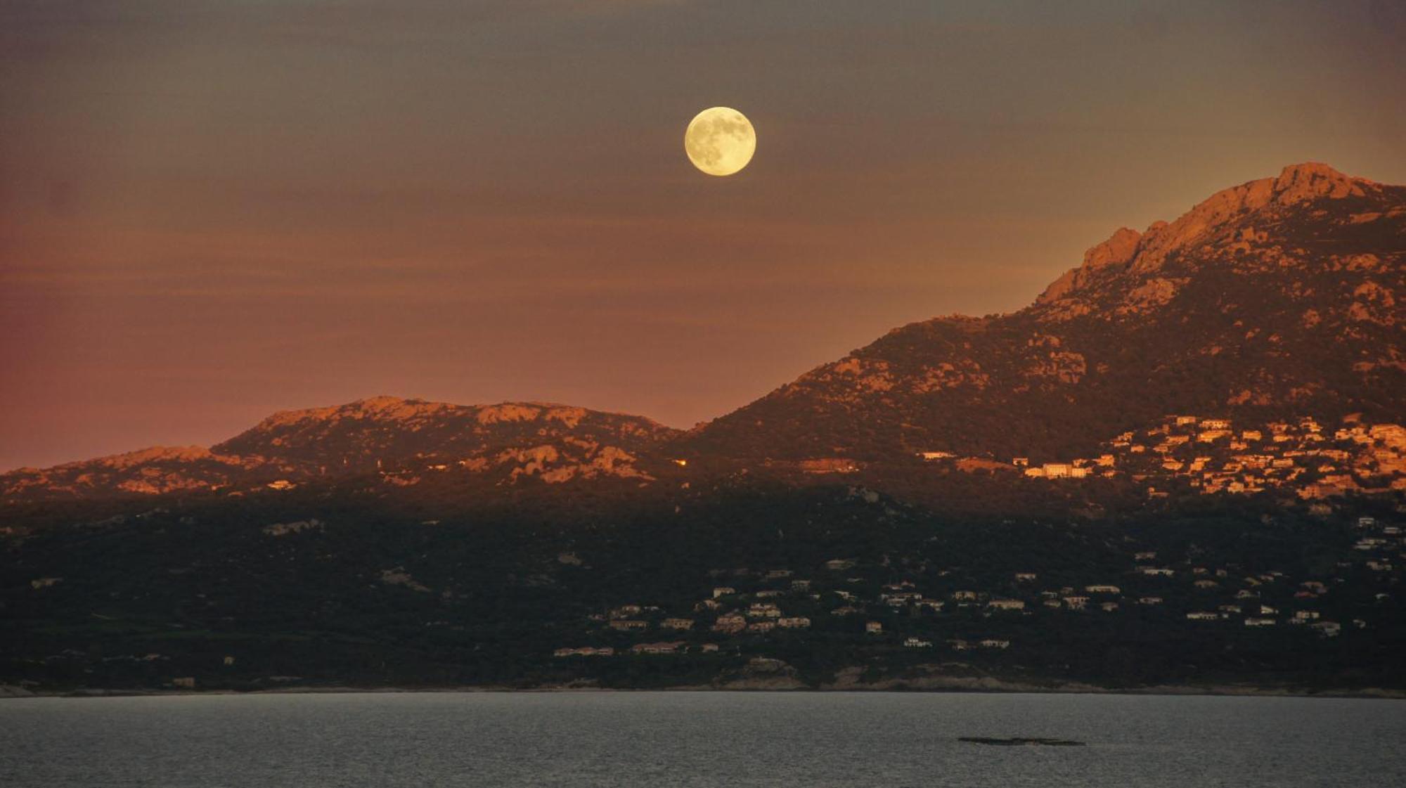 Villa U Mulinu Calvi  Zewnętrze zdjęcie